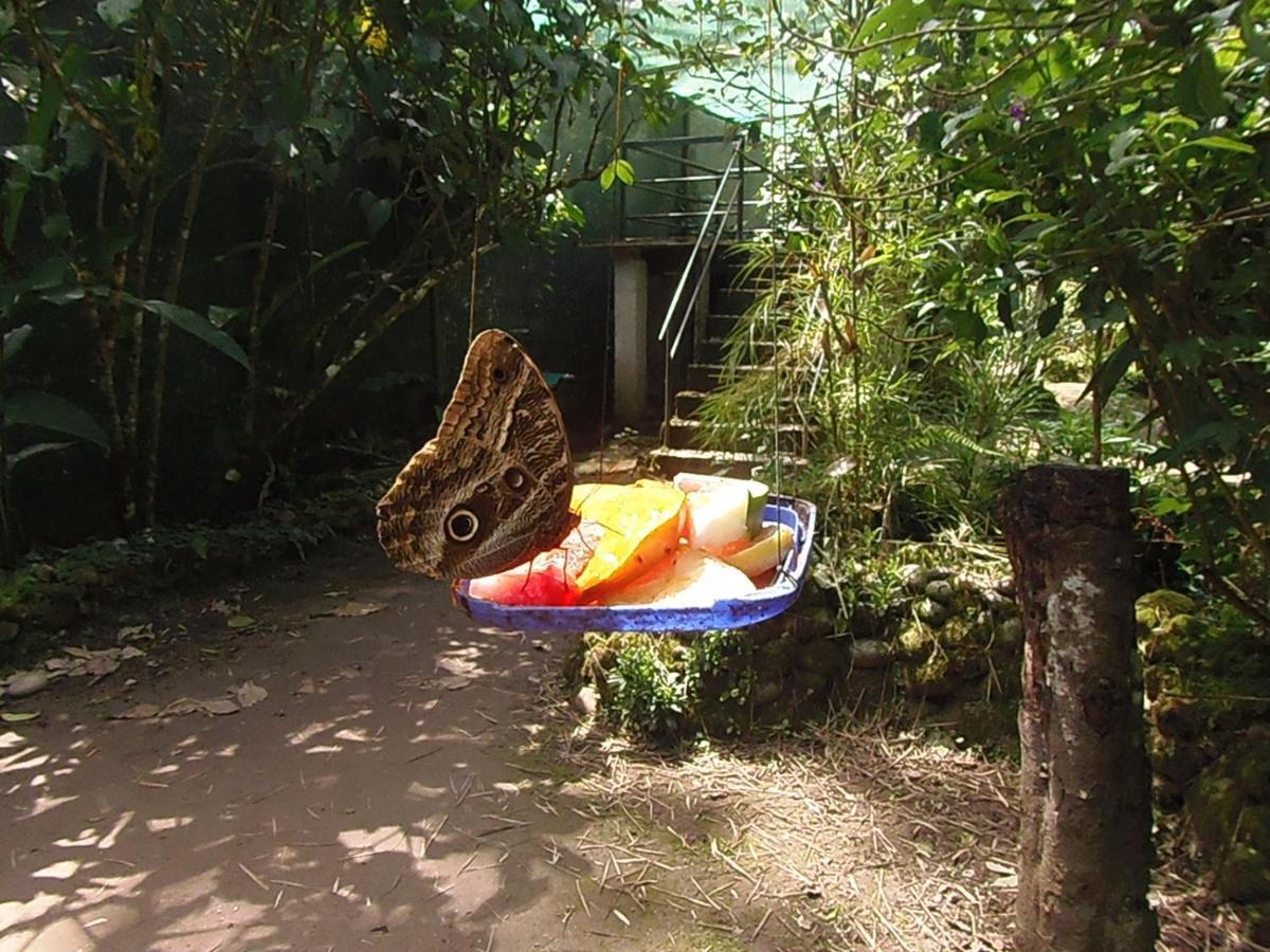 מאצ'ופיצ'ו Hostal Pablo'S House מראה חיצוני תמונה